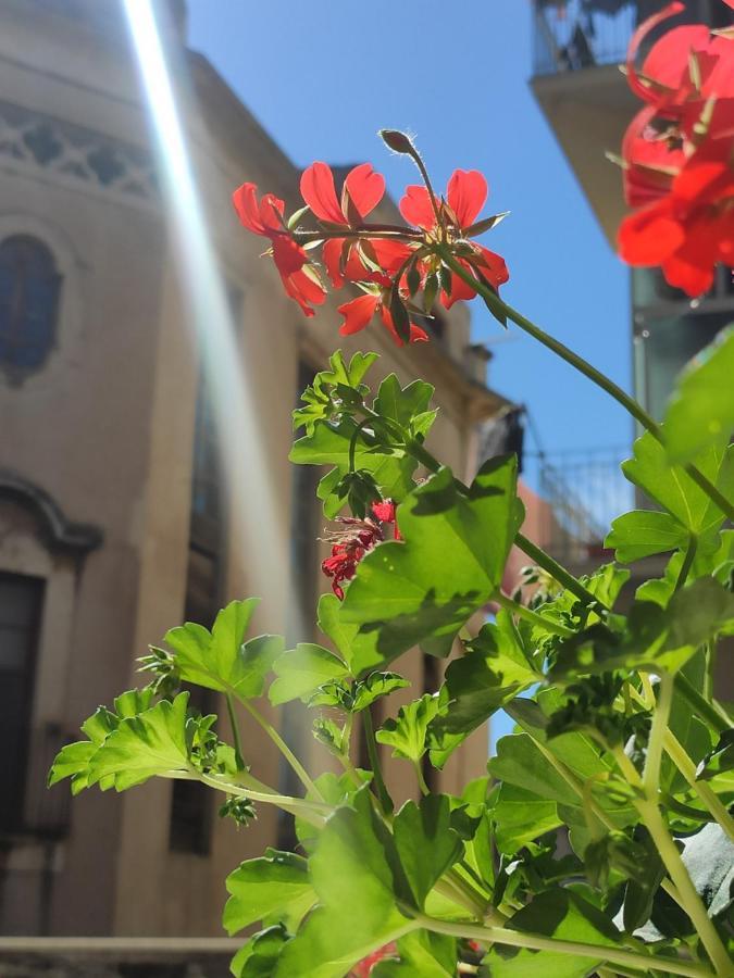קטאניה Casta Diva Holiday Rooms מראה חיצוני תמונה